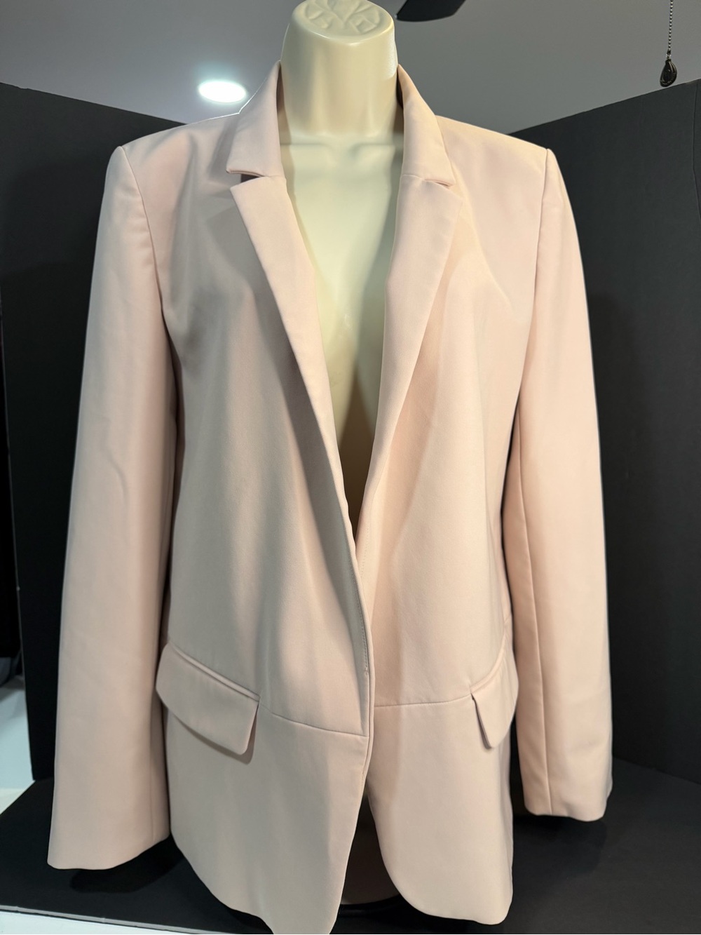 Ann Taylor Blush Pink Tailored Blazer